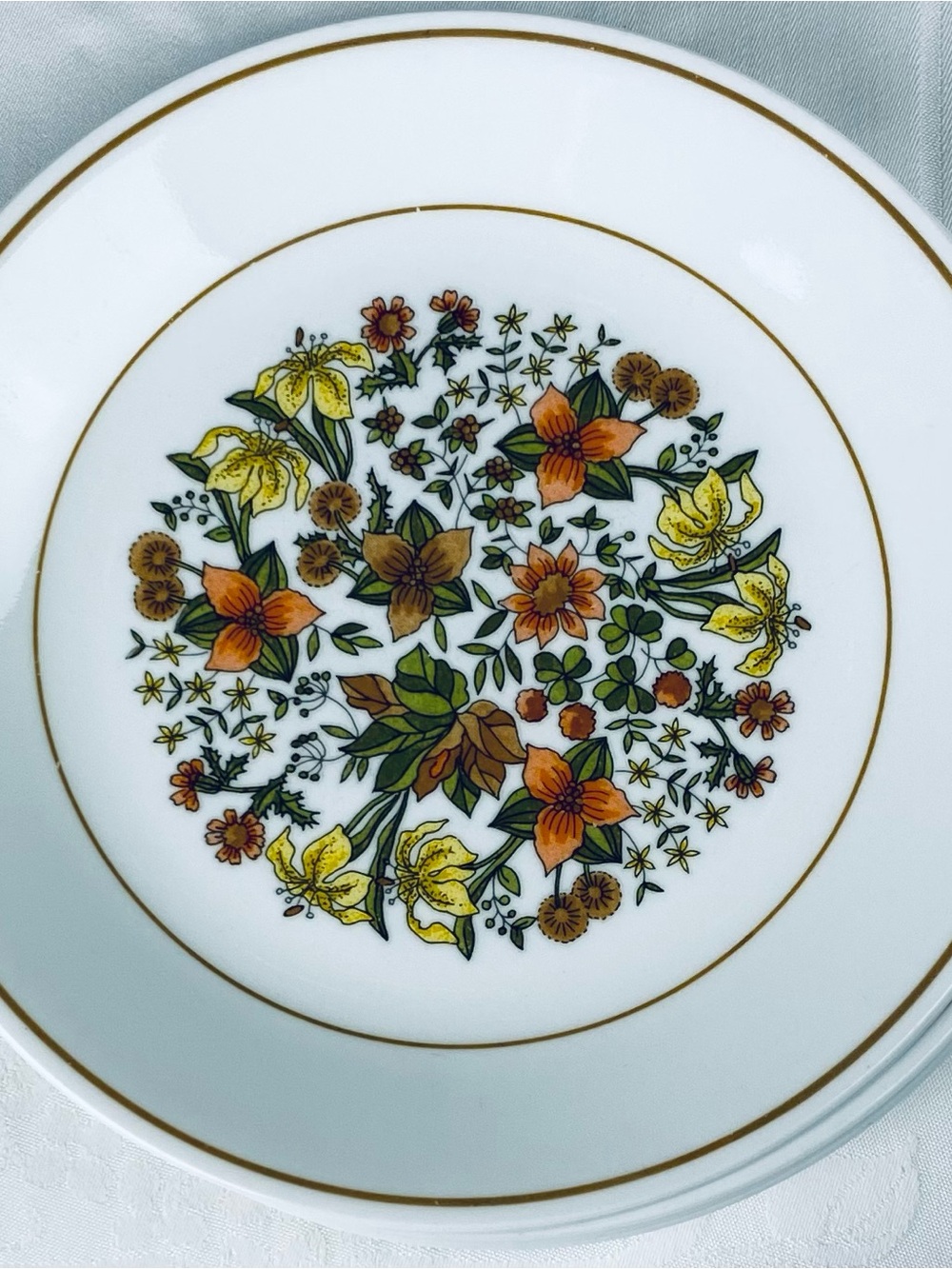 Set of 7- Corelle Corning Indian Summer Luncheon Plates - 8.5” wide